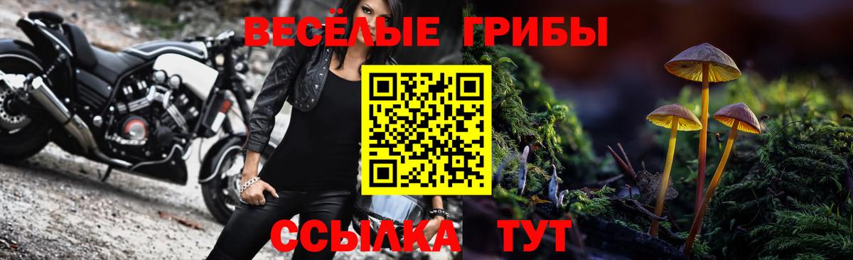 Галлюциногенные грибы прущие грибы  Галлюциногенные грибы Psilocybe  Десногорск  Вход с VPN 